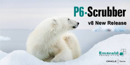 P6-Scrubber v8 Webinar - New Release